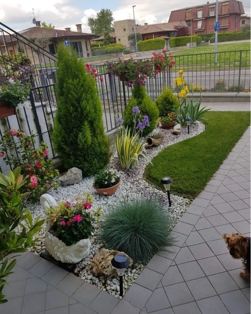 1. Curved White Gravel Border with Cone Evergreens and Solar Path Lights