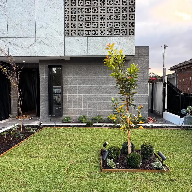 10. Square Tree Island with Boxwood Globes, Black Spotlights, and a Wide Green Lawn