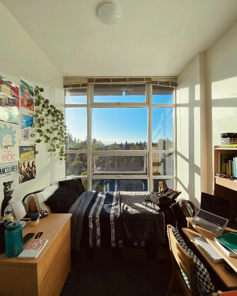 11. Sunlit Window Bed with Pop Culture Posters and Trailing Green Vines