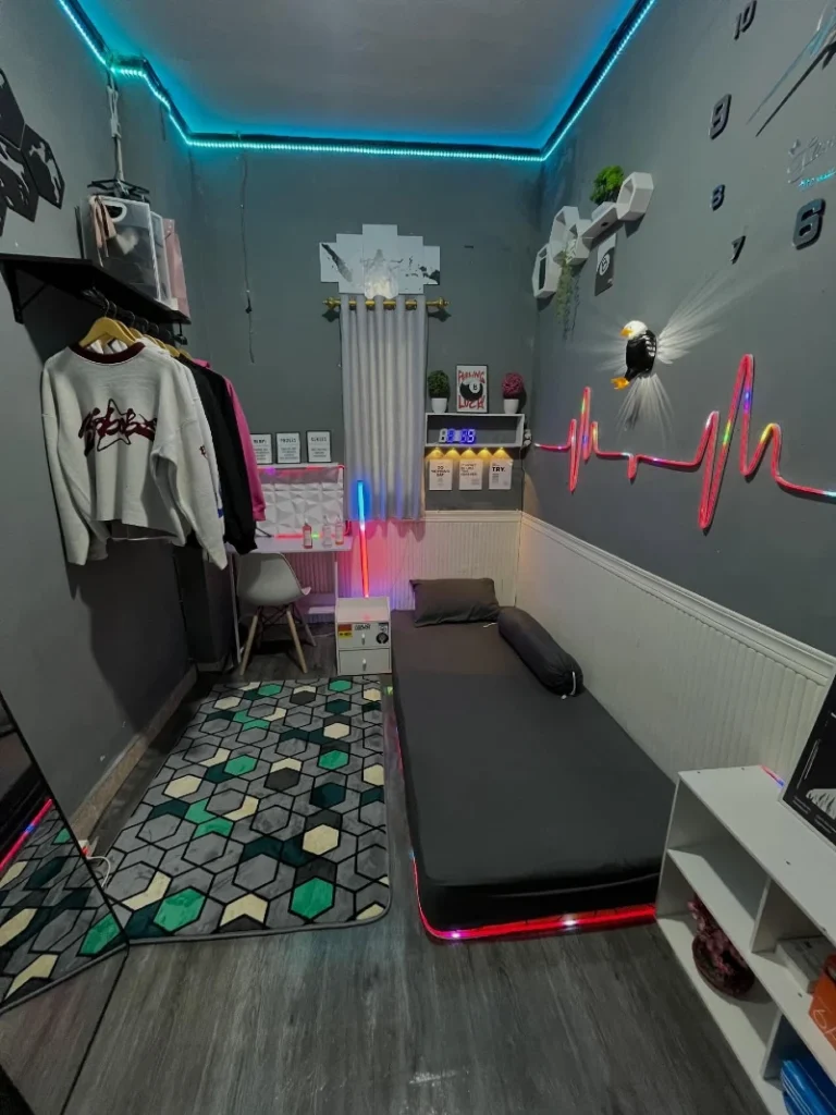 12. Gray Neon Bedroom with Ceiling LED Strips, Wall Clothing Rack, and Low Daybed