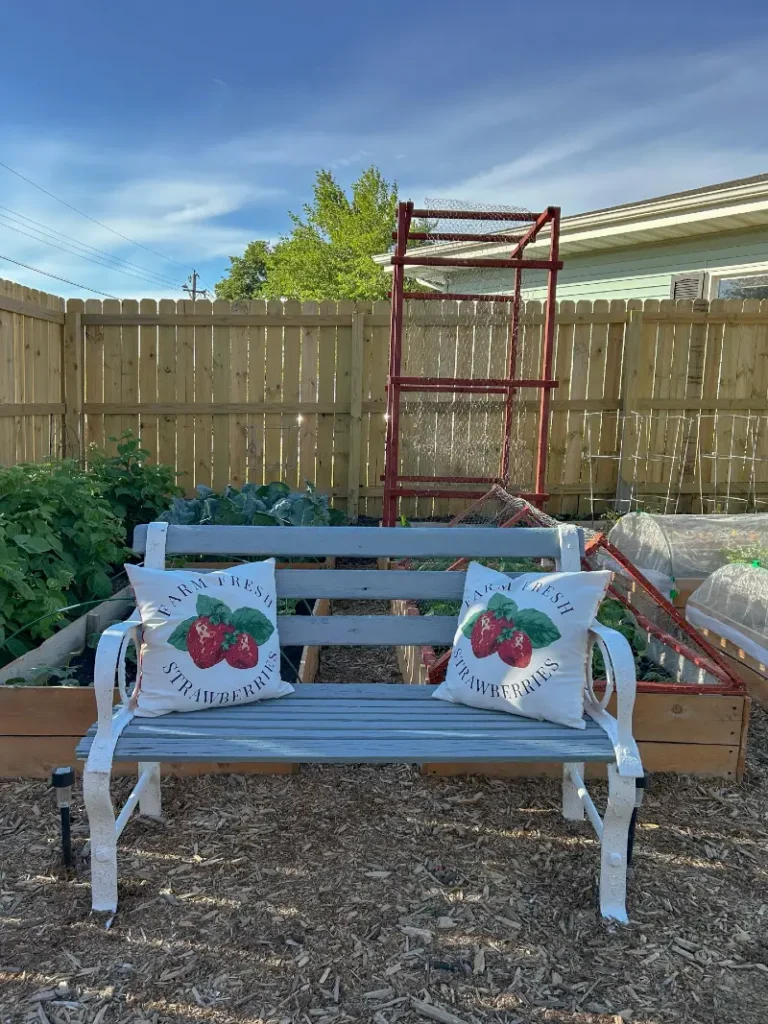 16. White Metal Garden Bench with Strawberry Pillows Beside Raised Vegetable Beds