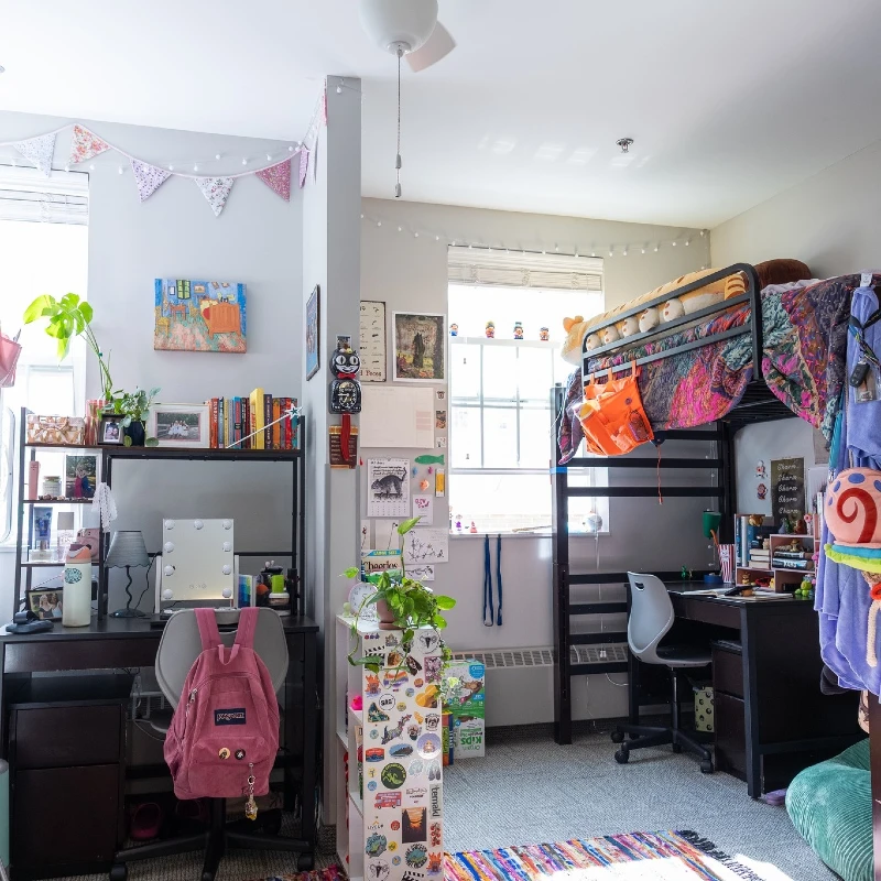 17. Lofted Bed Suite with Dual Desks, Plant Shelf, and Sticker-Covered Storage