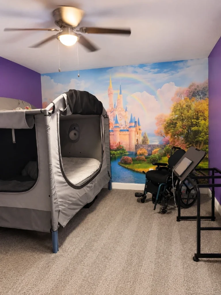 19. Enclosed Gray Bunk Bed with Purple Walls and Castle Mural