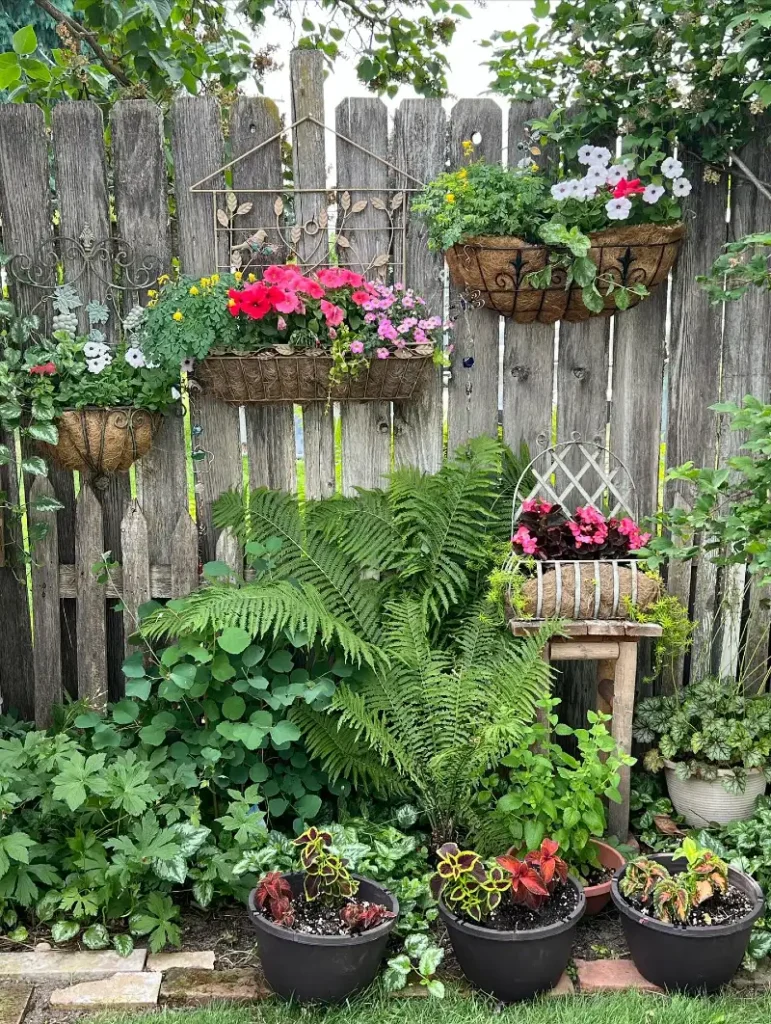 19. Weathered Picket Fence with Coir Baskets, Ferns, and Chair Planter