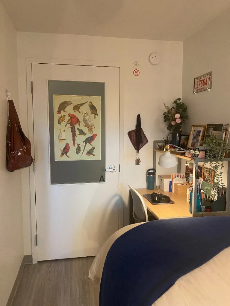2. Bird Print Door Art with a Plant Packed Desk Corner