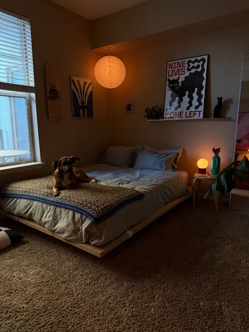 2. Warm Paper Lantern Glow with Dog-Lived Minimal Comfort