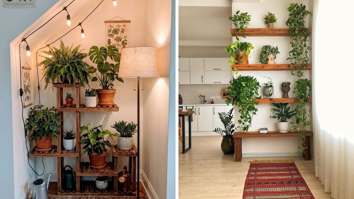 21 Apartment Plant Decor Ideas for Small Spaces and Low Light