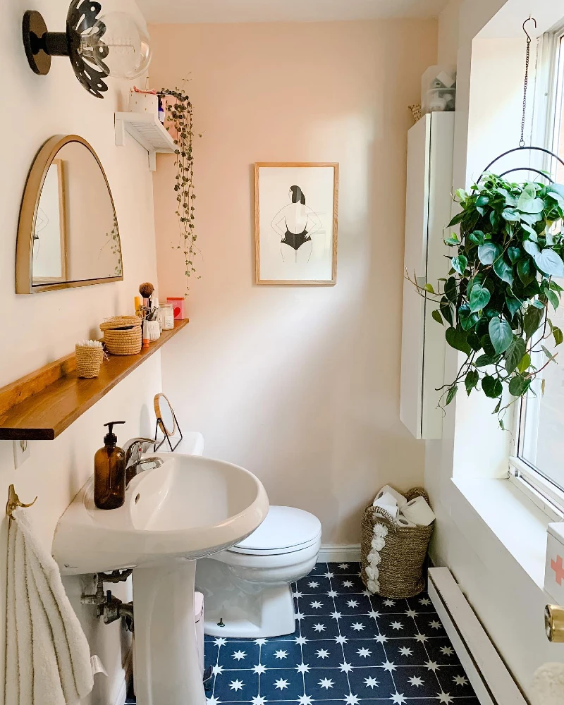 3. Black Star Pattern Bathroom Floor with Peach Walls and Hanging Pothos