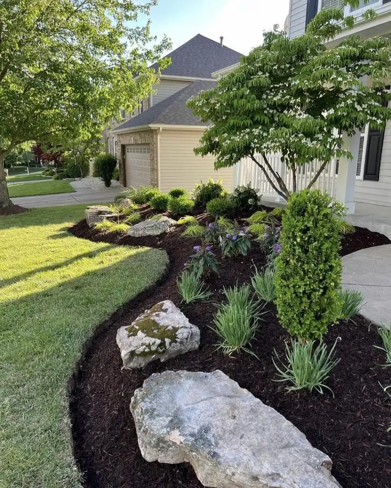 3. Dark Mulch Curve with Limestone Boulders, Boxwood Columns, and a White Flowering Tree