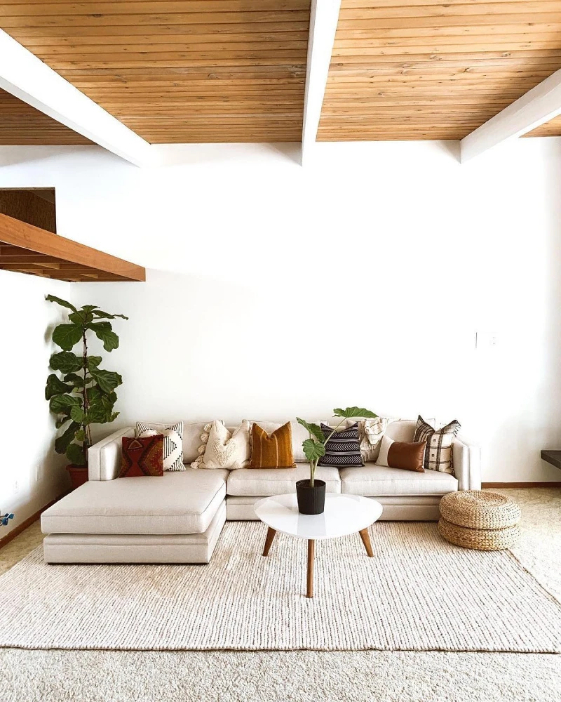 3. Minimalist Living Room with Cream Rug Over Grey Rental Carpet and Wood Ceiling Contrast