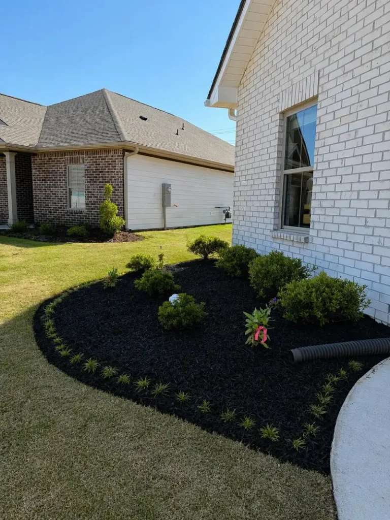 8. Black Mulch Foundation Bed with Curved Lawn Edge and Young Shrub Rows