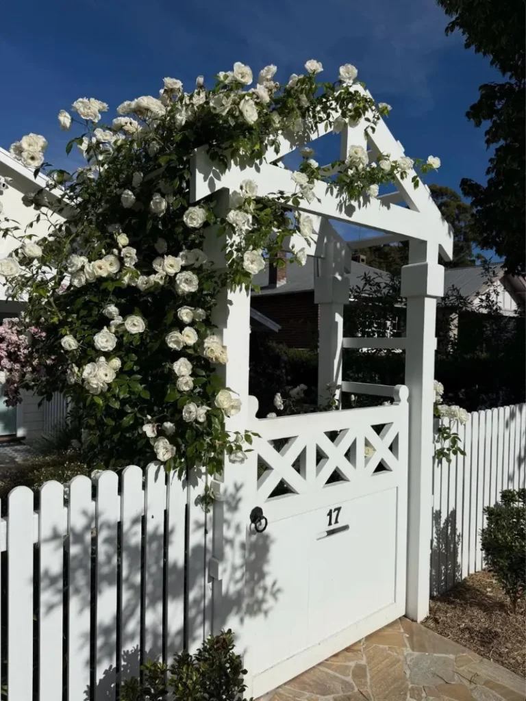 8. White Picket Gate with Rose Covered Arbor and Cottage Fence