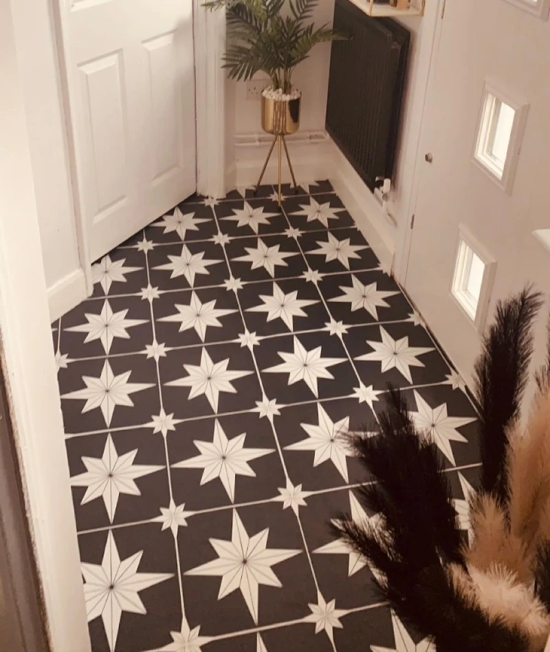 9. Black Star Tile Entry Floor with White Doors and Brass Plant Stand