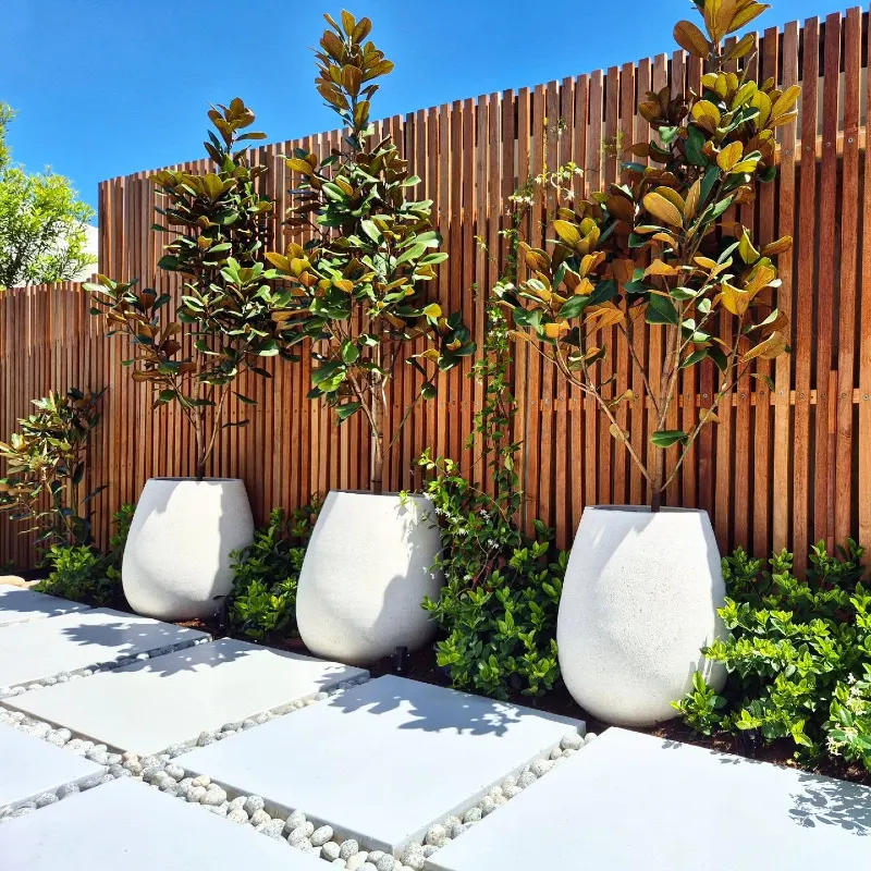 9. Vertical Slat Fence with White Urn Planters and Magnolia Trees