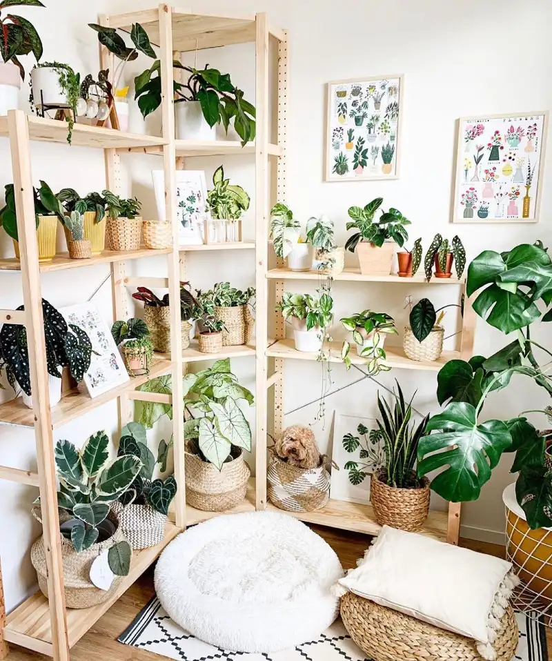 Blonde Wood Corner Shelving with Woven Baskets