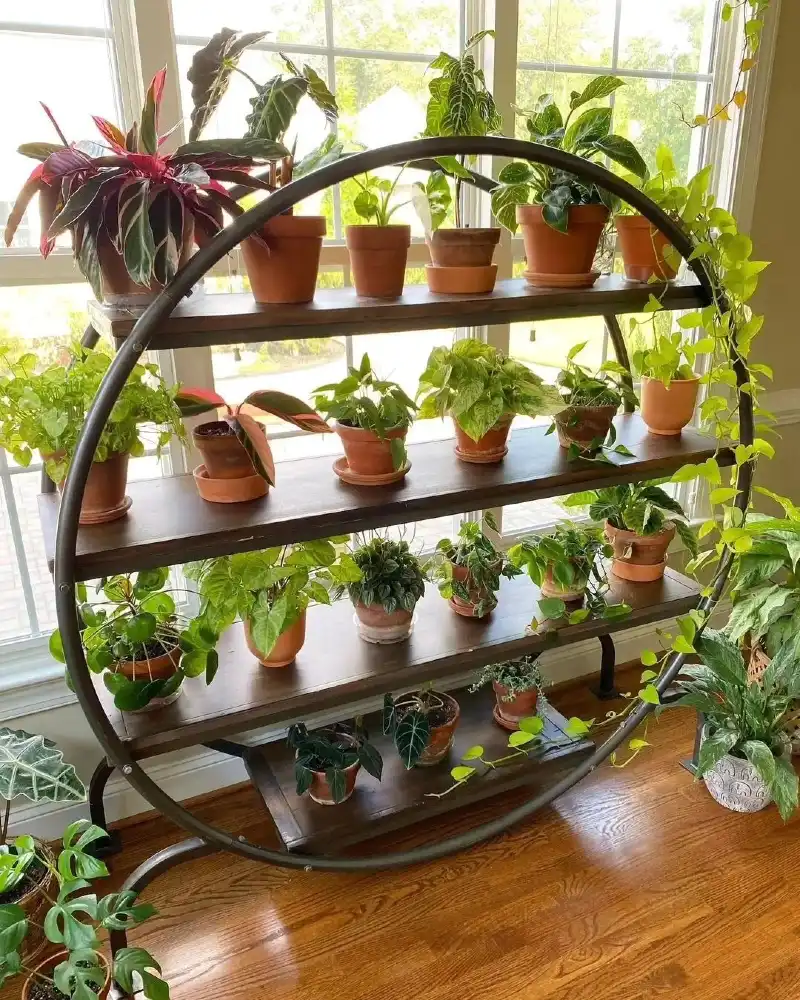Circular Iron Display Rack with Terracotta Planter Rows