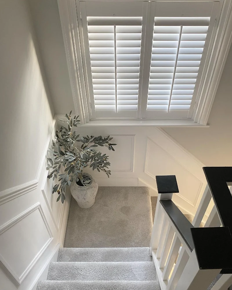Classic White Raised Paneling with a Faux Olive Tree and Plantation Shutters
