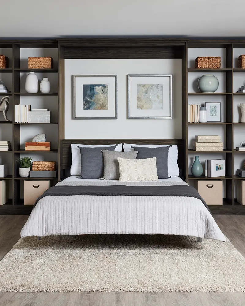 Dark Walnut Open Grid Shelving with Symmetrical Framed Abstract Art and Plush Shag Rug