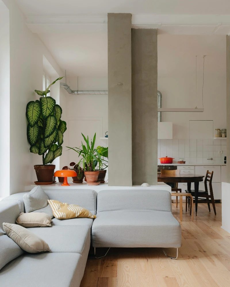 Exposed Concrete Divider with Soft Minimal Living Zone and Kitchen Flow