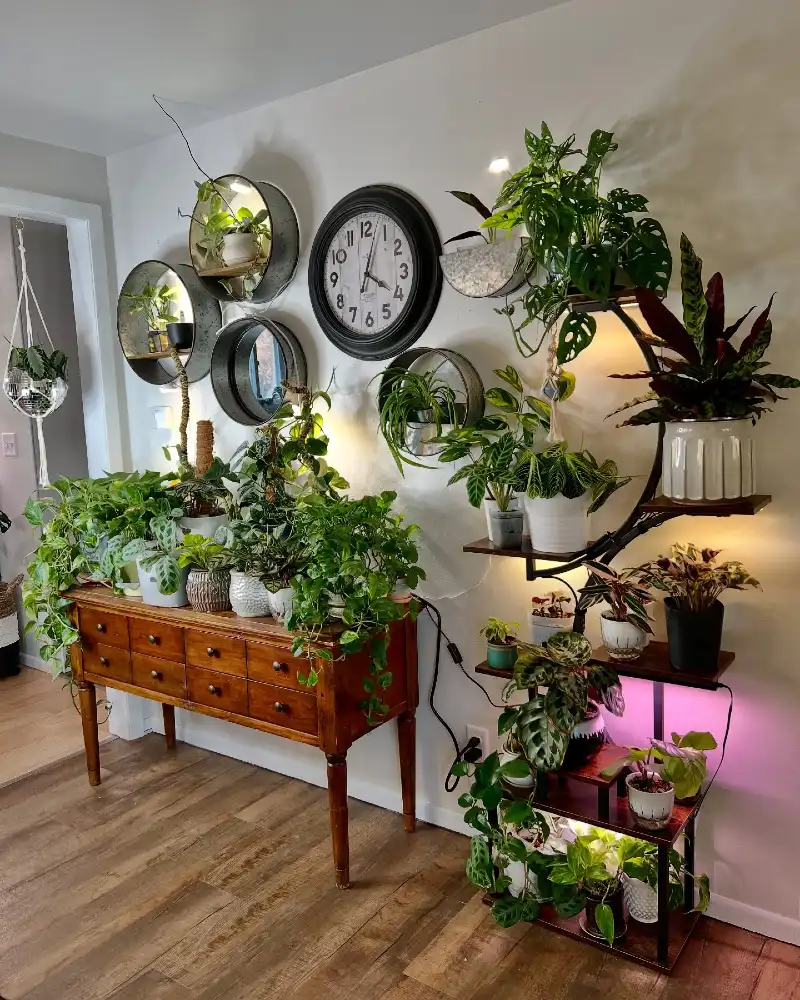 Galvanized Wall Planters and Multi-Tiered Stand with Integrated Grow Lights