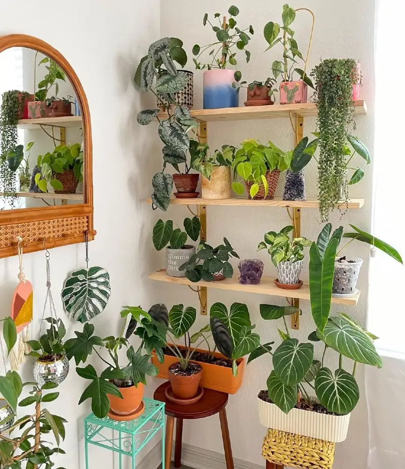 Golden-Bracketed Wall Shelves with Eclectic Colorful Pots
