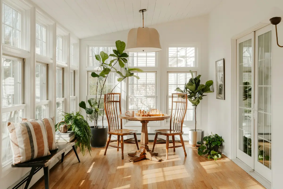 Sun Filled Breakfast Nook with Tall Fiddle Leaf Trees