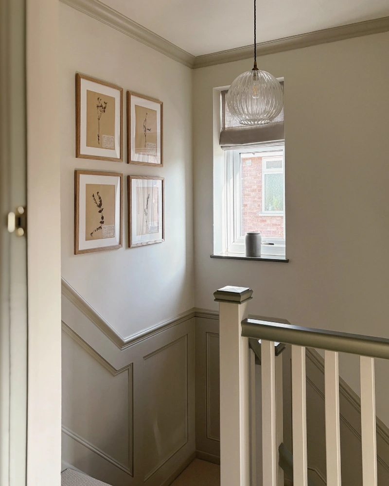 Symmetrical Four-Frame Herbarium Grid Above Muted Sage Wainscoting