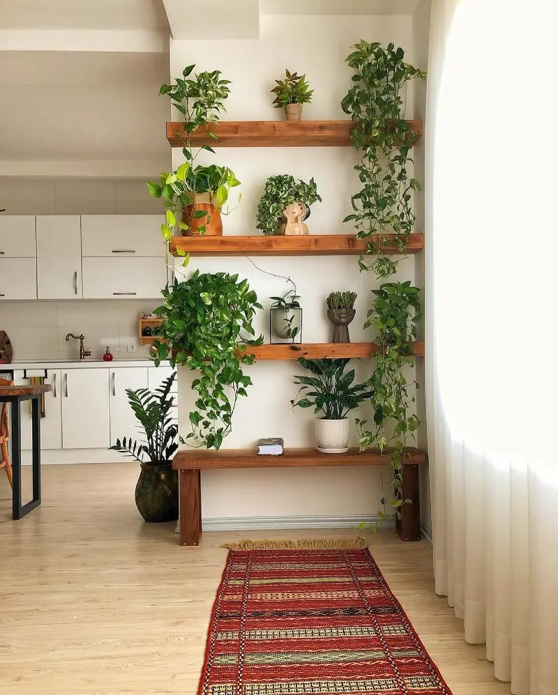 Thick Timber Floating Shelves with Red Patterned Runner Rug