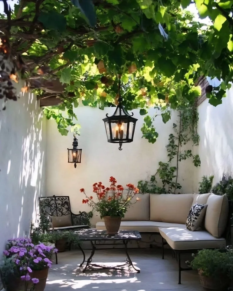 Wrought Iron Seating Under Living Grape Vine Canopy