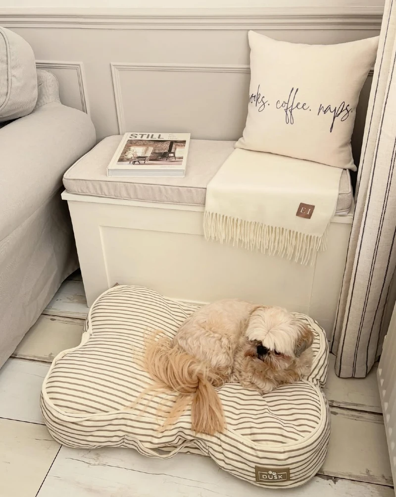 Bench Storage Nook with Striped Bone-Shaped Pet Bed