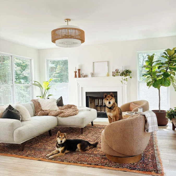 Boucle Textures And A Vintage Rug Handle Two Dogs With Ease