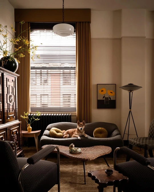 Charcoal Vintage Sofa Grounds A Moody Sunlit Corner