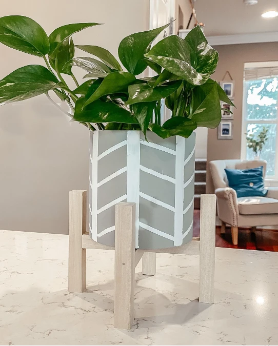 Chevron Painted Pot Stand