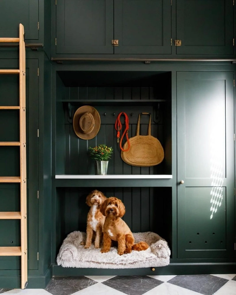 Deep Forest Green Mudroom Built-in with Integrated Pet Nook