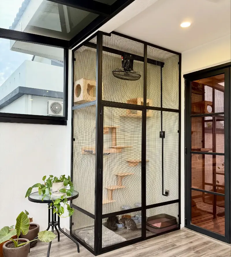 Enclosed Indoor-Outdoor Cat Sanctuary