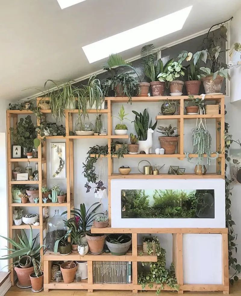 Floor to ceiling modular wooden shelving unit with lush indoor plants and integrated aquarium