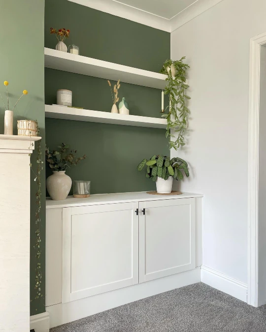 Forest Green Shelves With White Cabinets