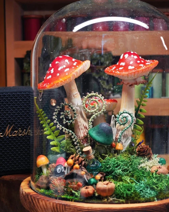 Glass Dome Woodland Mushroom Terrarium