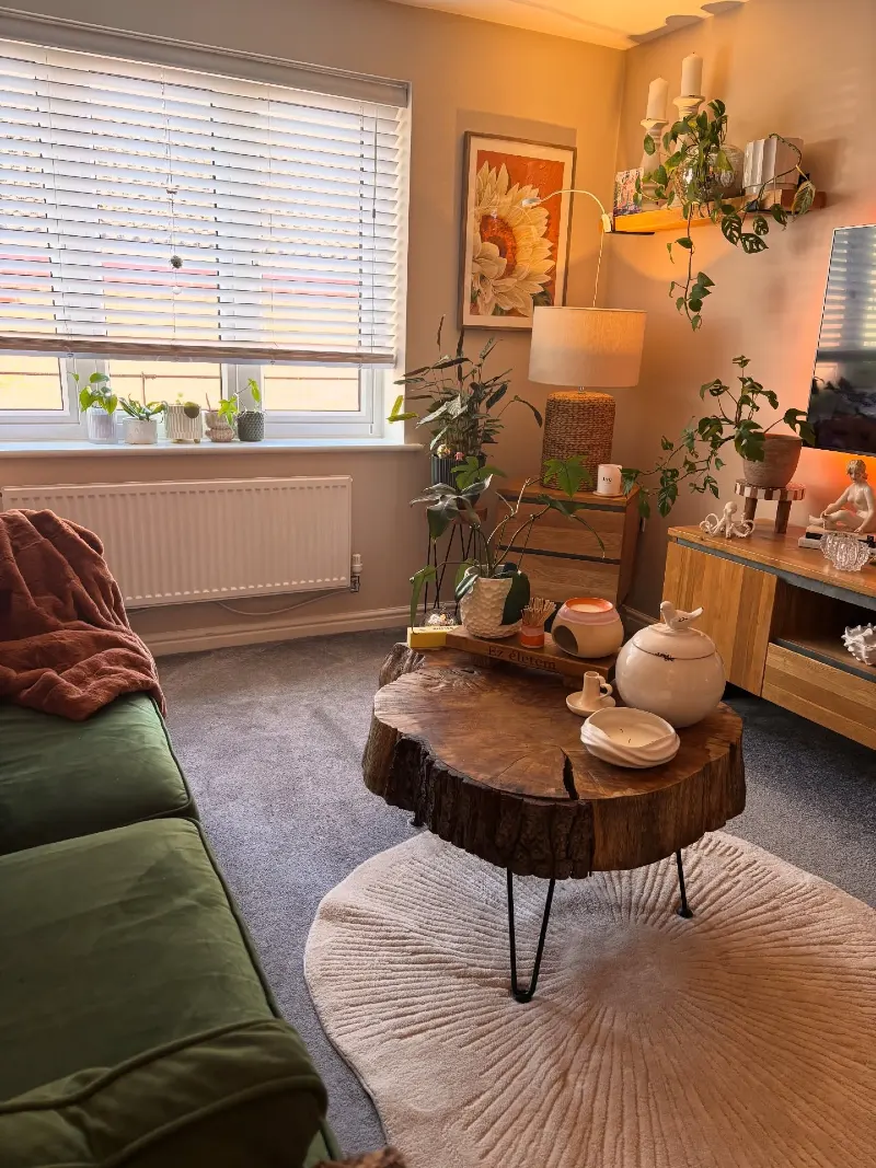 Green Sofa with Tree-Slice Coffee Table and Plant Shelf Glow