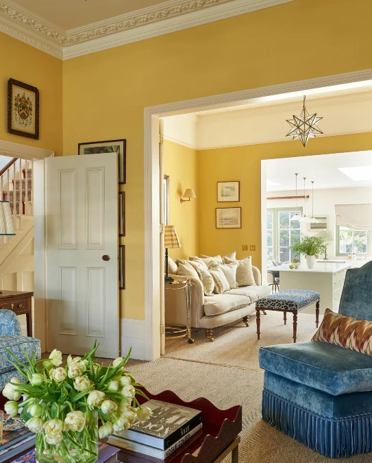 High Contrast Traditional Living Spaces