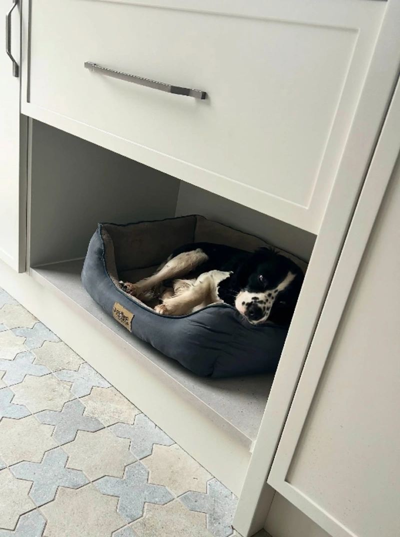 Kitchen Cabinetry Pet Nook with Integrated Stone Shelf
