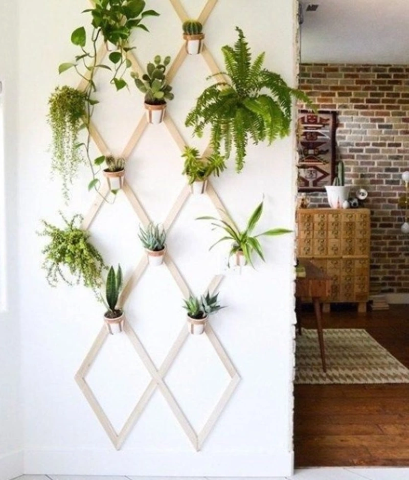 Light wood lattice trellis mounted with small potted plants