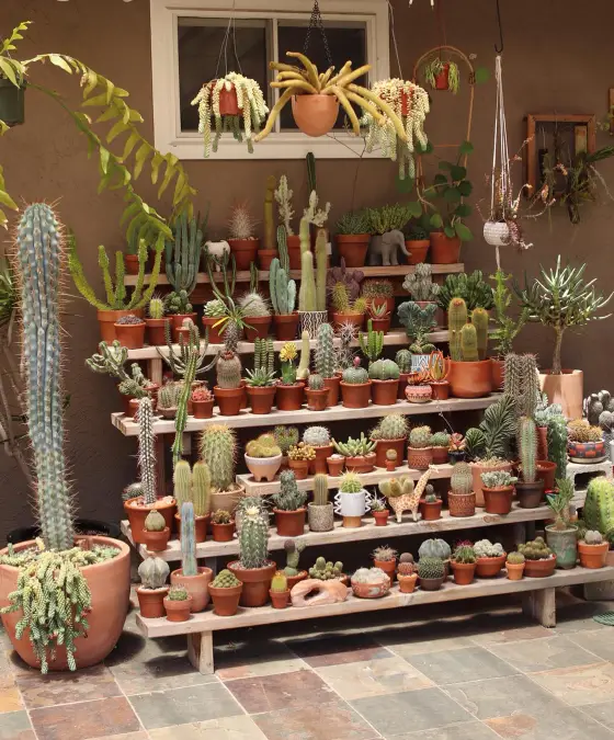 Massive Terracotta Bleacher Stand