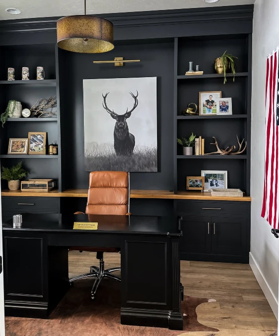 Matte Black Shelves And Leather Accents