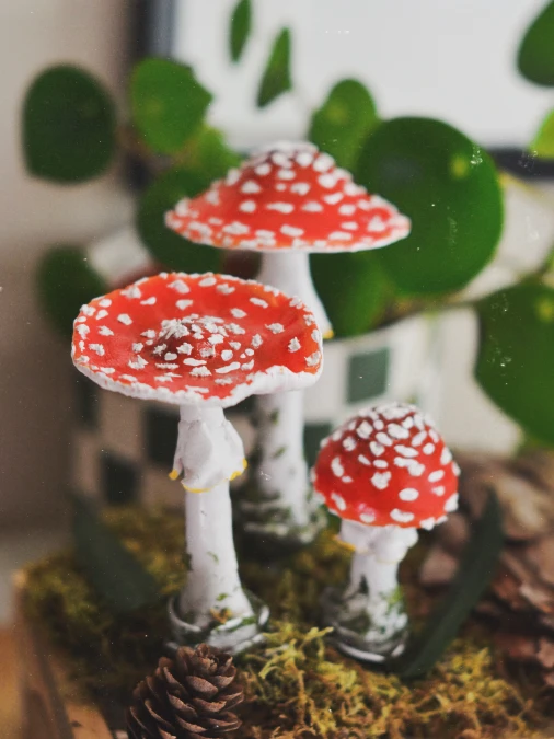 Miniature Clay Red Mushroom Planter Decor