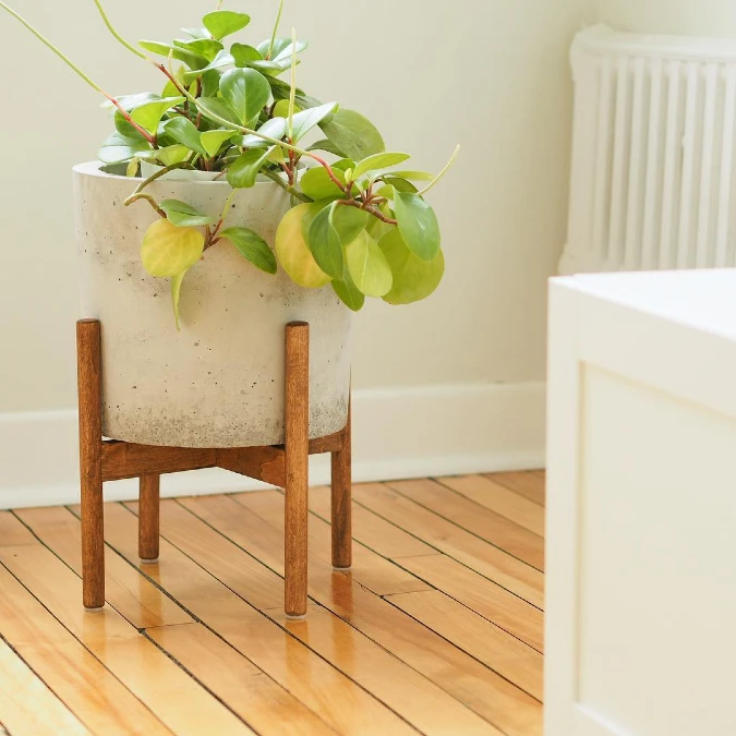 Minimalist Concrete And Wood Planter