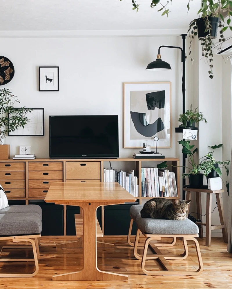 Minimalist Living Area with Dedicated Pet-Friendly Seating