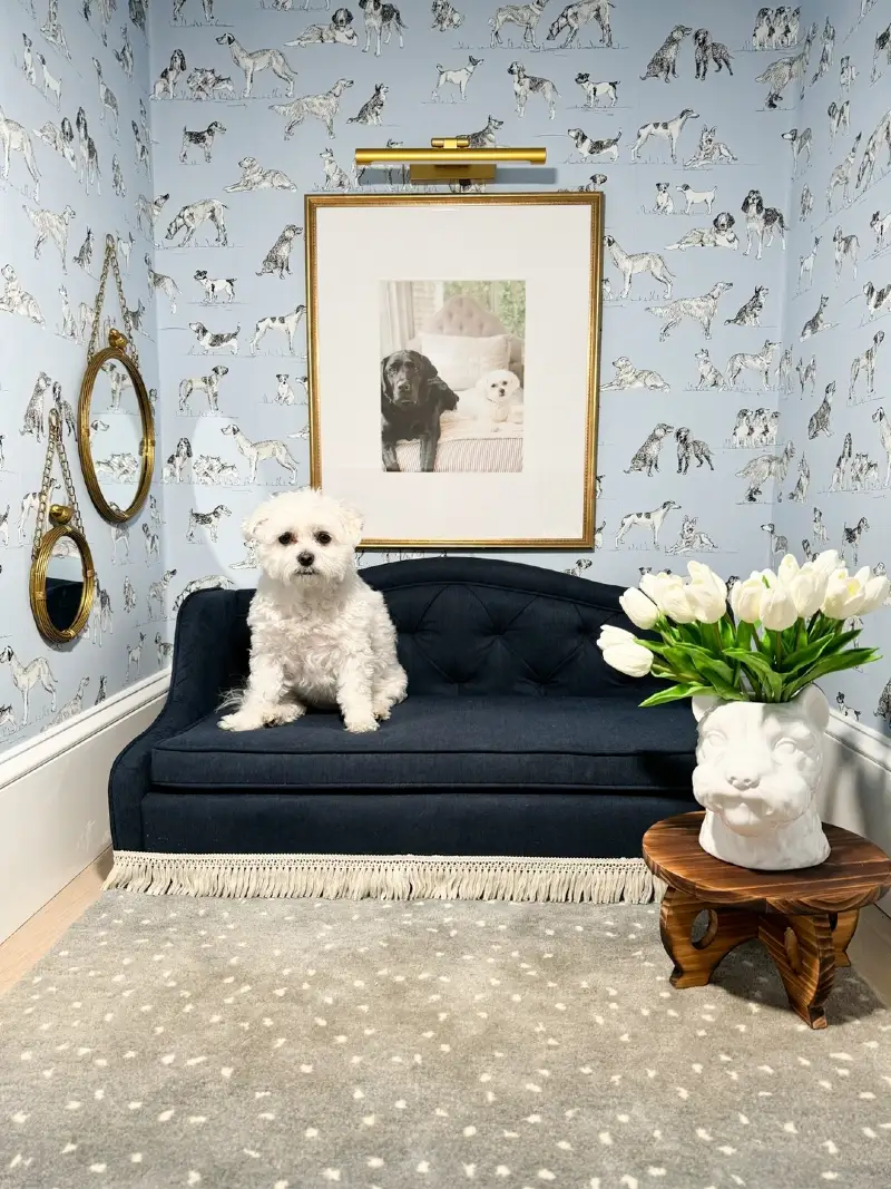 Navy Tufted Pet Settee with Patterned Dog Wallpaper and Gold Accents