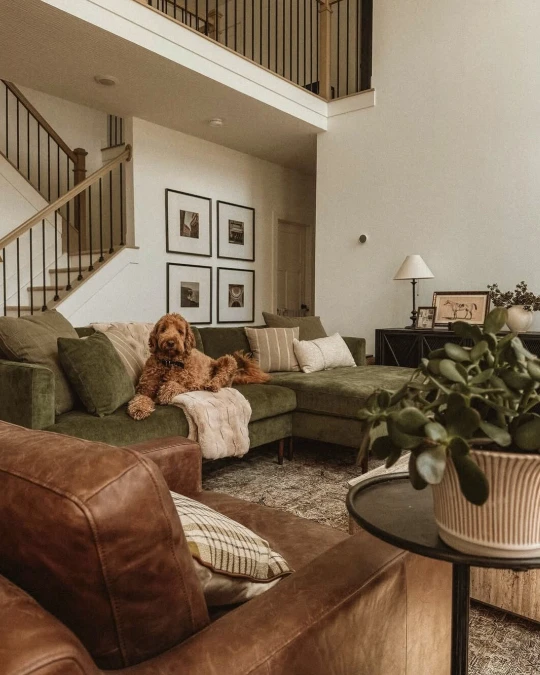 Olive Velvet Sectional Meets Leather Sofa For Everyday Living