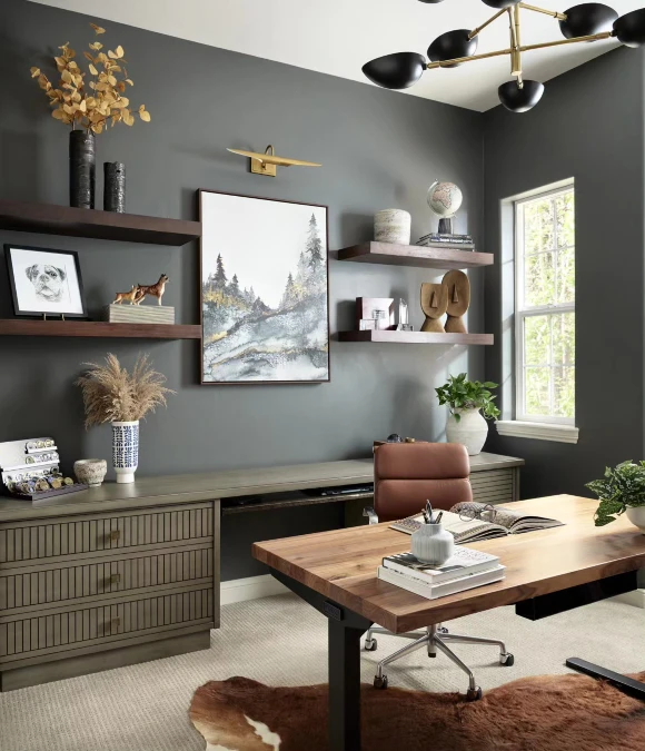 Organic Textures Against Charcoal Walls